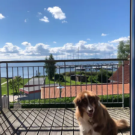 Haus Boddenperle 別荘 ブレーゲ